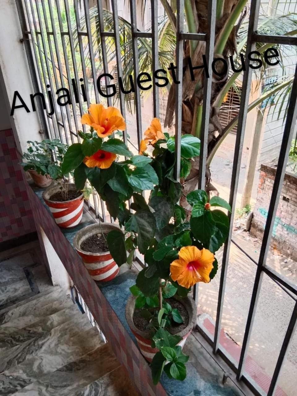 Anjali Guest House Digha  Dış mekan fotoğraf
